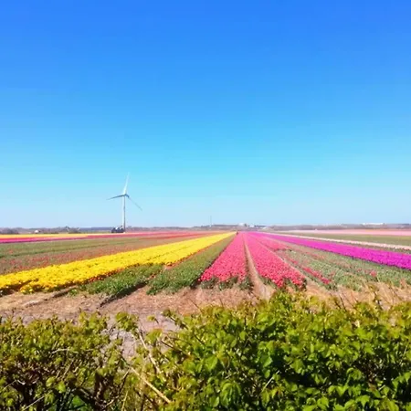 Bas, Strandhuisje Op 900 Meter Zee & Strand! Callantsoog