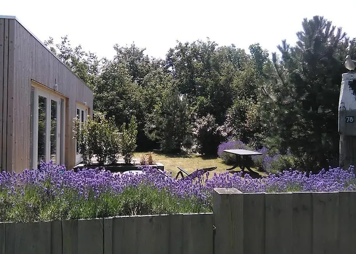 Bas, Strandhuisje Op 900 Meter Zee & Strand! Apartment