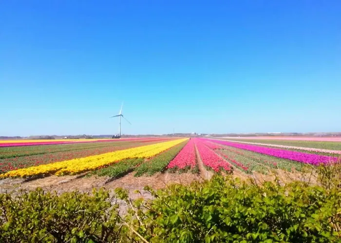 Bas, Strandhuisje Op 900 Meter Zee & Strand! 칼란트소그
